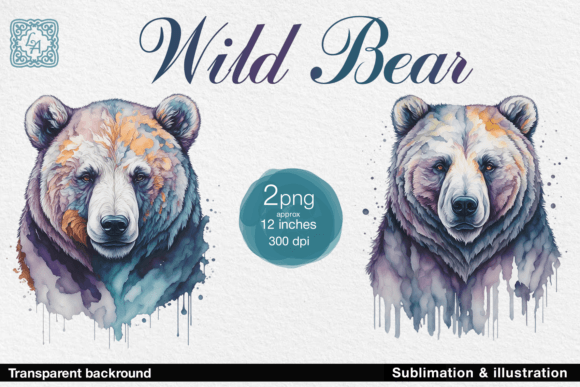 Download Wild Bear Illustration 2 PNG - Premium Resources
